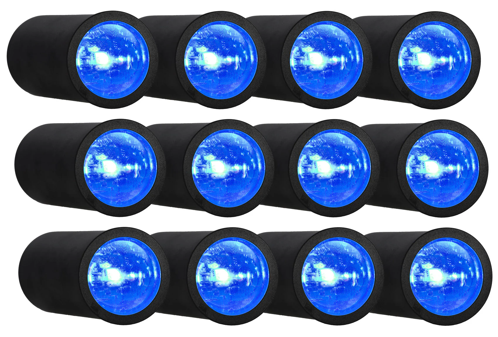 12 PACK MINI HALO BLACK - Image 4