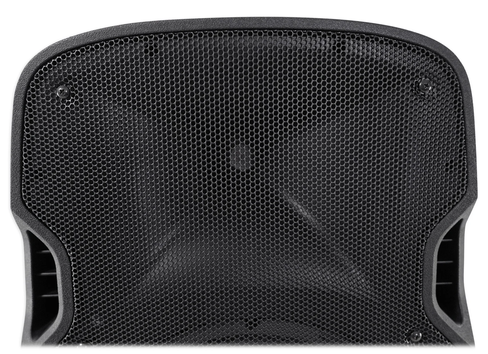 SPGN128 12" Passive Speakers 2-Pack + PARTY STAND LED Stands Bundle - Image 7