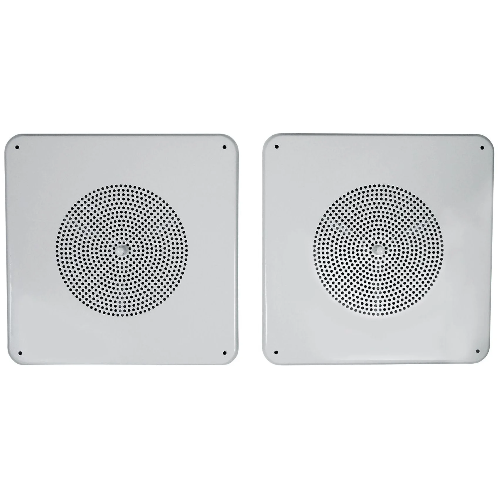 MS81 5-Pair - Image 4