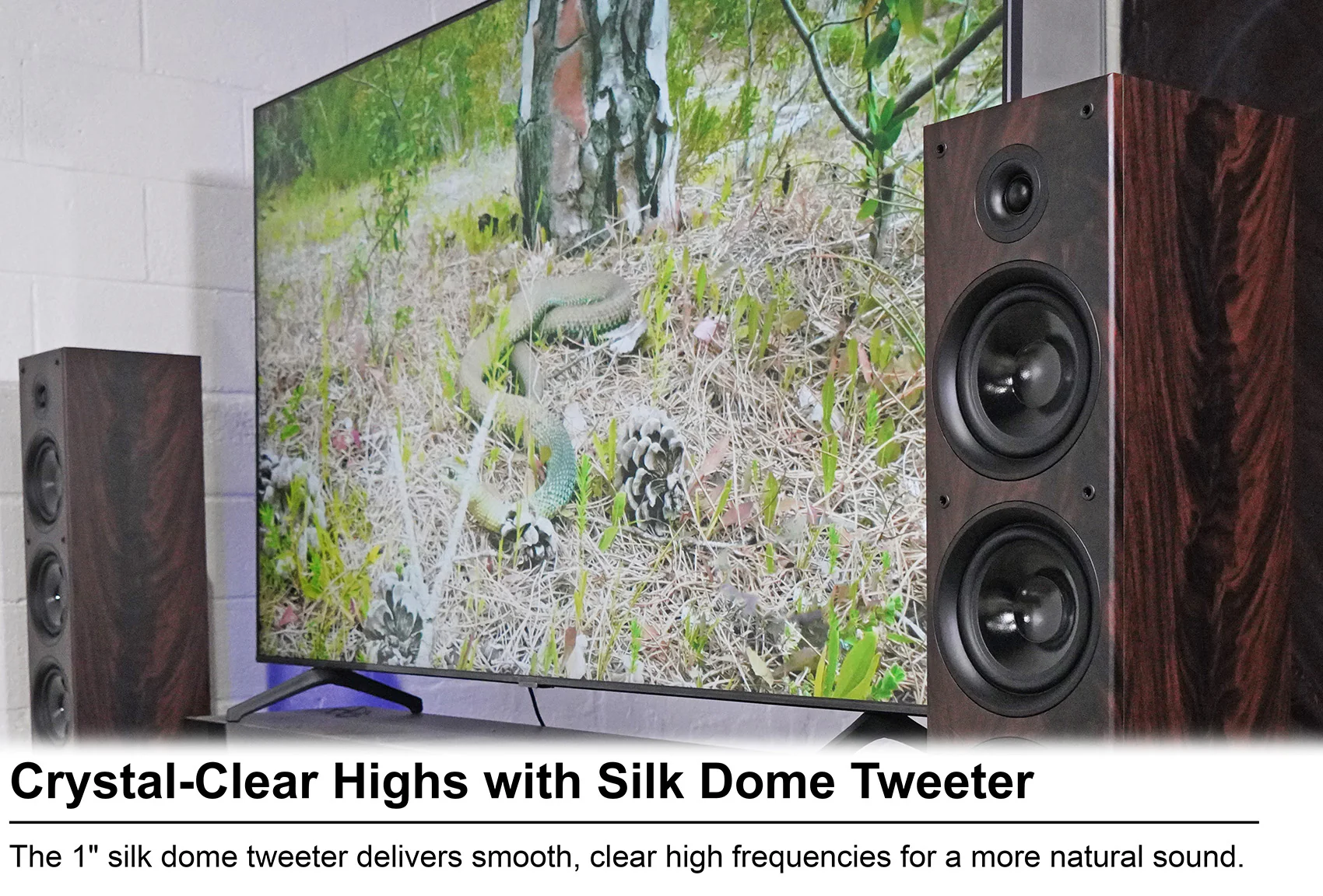 RockTower 64D Dark Wood 2-Pack + BLUAMP 150 Bundle - Image 8