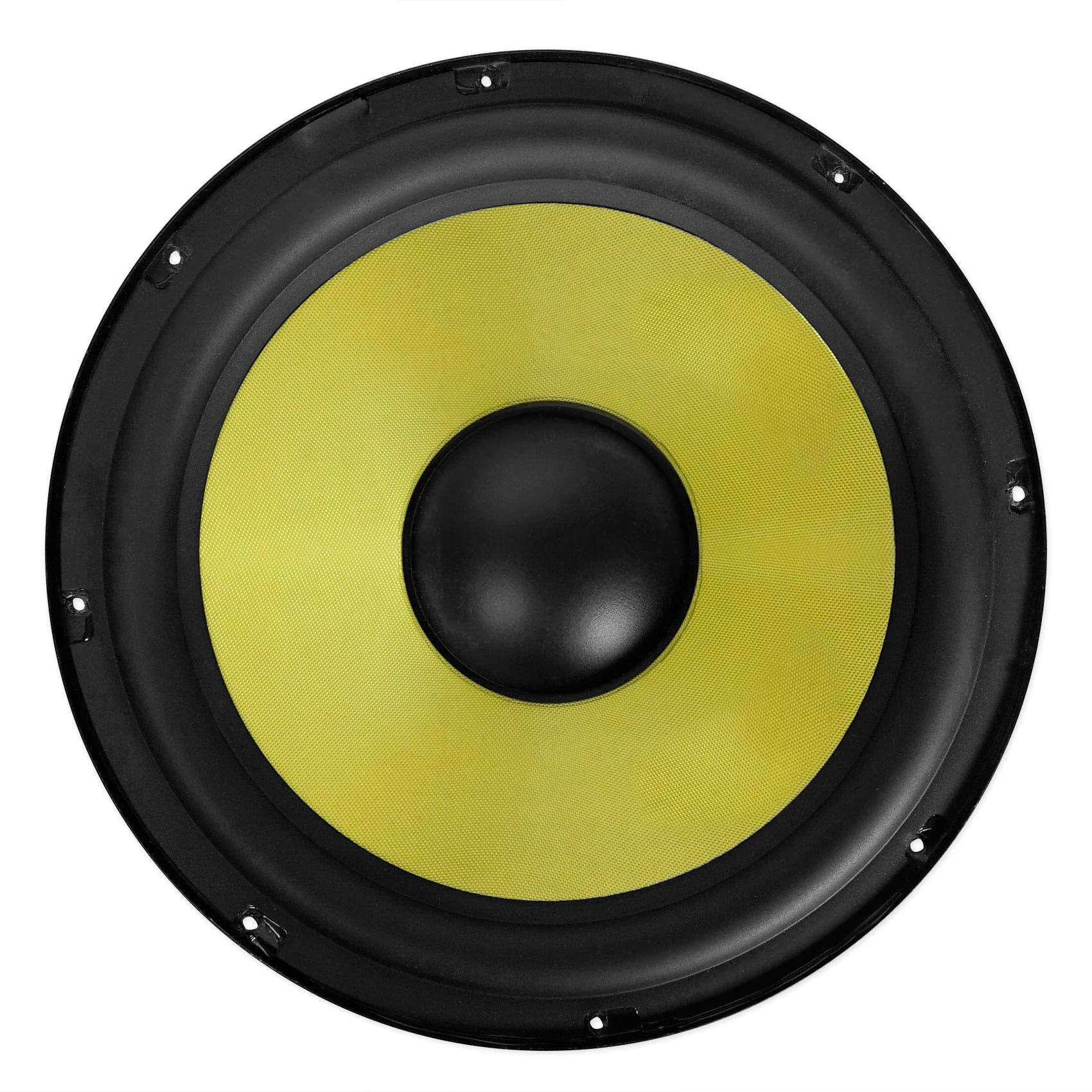 10" 200w RMS Raw Woofer For Home Theater or Studio Monitors From Rockville DPM10